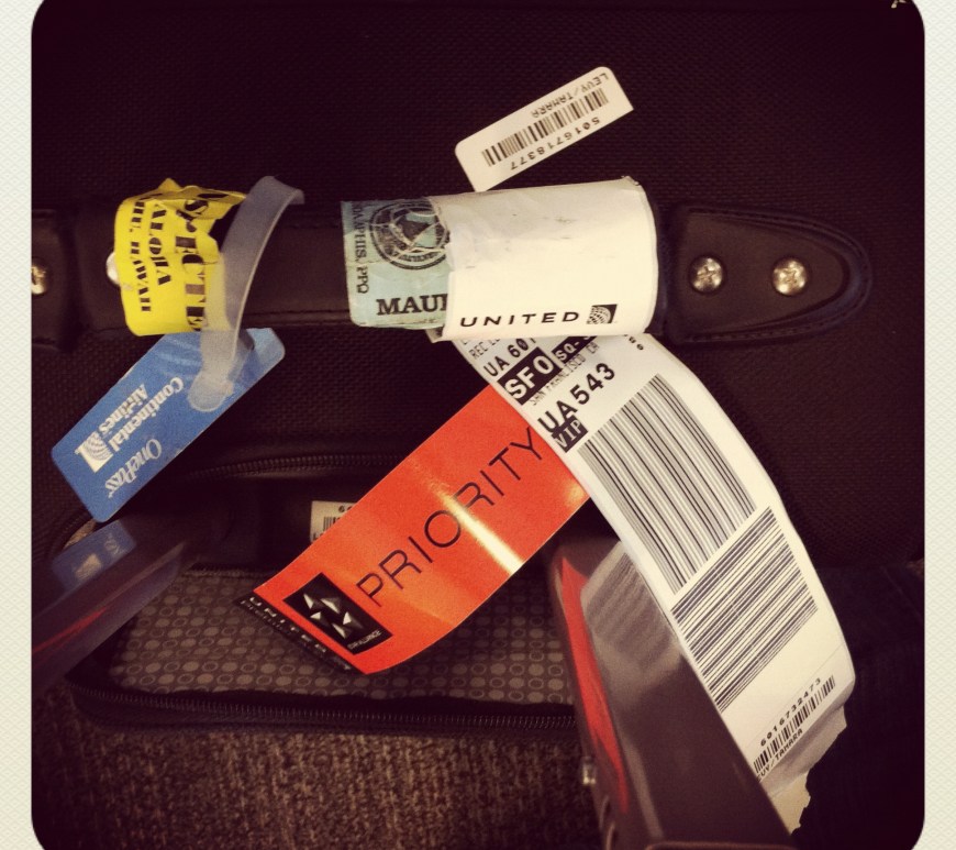 The Seasoned Traveler