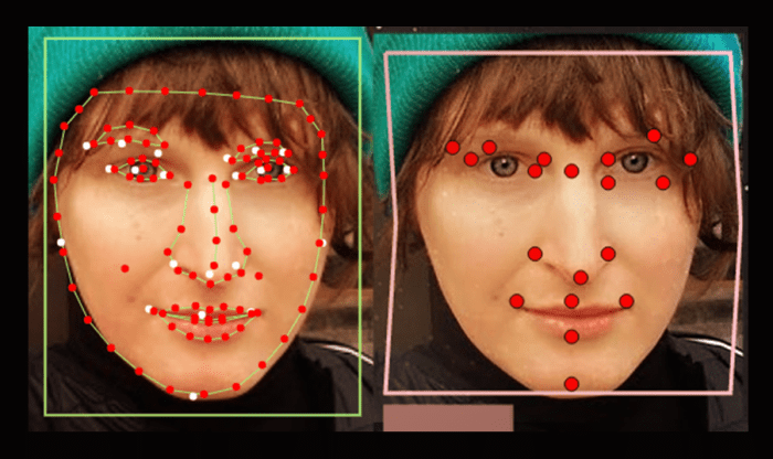 fv-through-ai-eye-facepoints